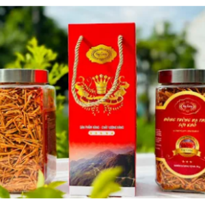 Đông trùng hạ thảo hàng rối chai thủy tinh lọ 50G