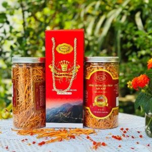 Đông trùng hạ thảo sợi khô (CORDYCEPS MILITARIS) lọ nhựa 50g