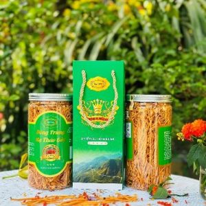 Đông trùng hạ thảo gãy lọ 50g